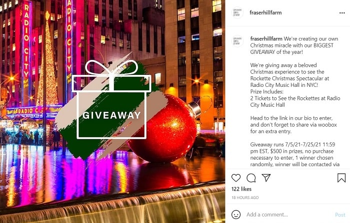 11 Instagram Giveaway Ideas That Will Get You New Followers